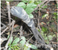 接線(xiàn)頭朝上